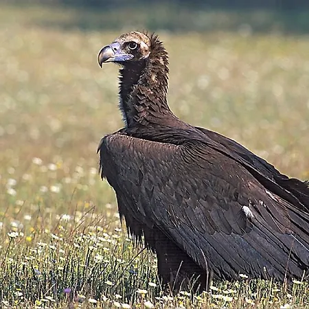 Apartment Cielo Abierto *