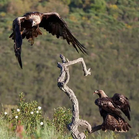 아파트 Cielo Abierto Berzocana