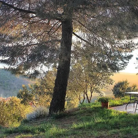 아파트 Cielo Abierto *