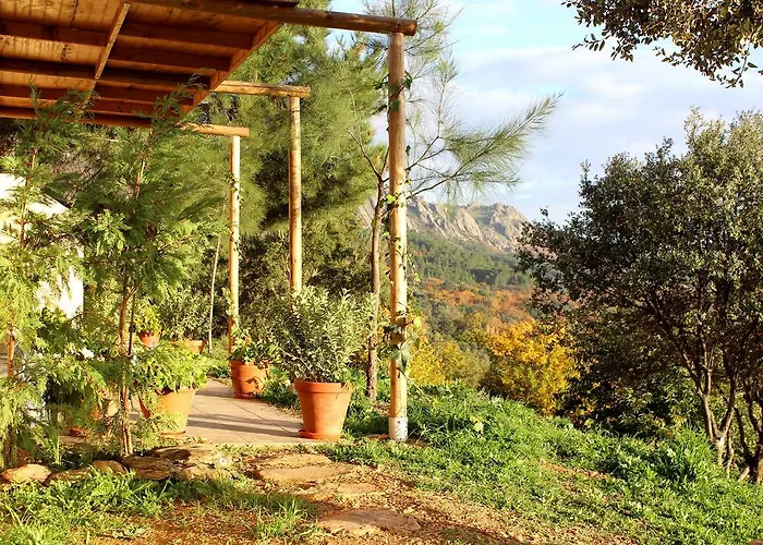 Cielo Abierto Берсокана