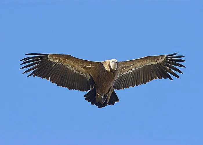 Cielo Abierto Берсокана