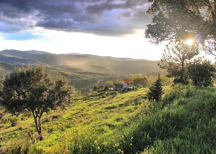 阿比尔托公寓 *