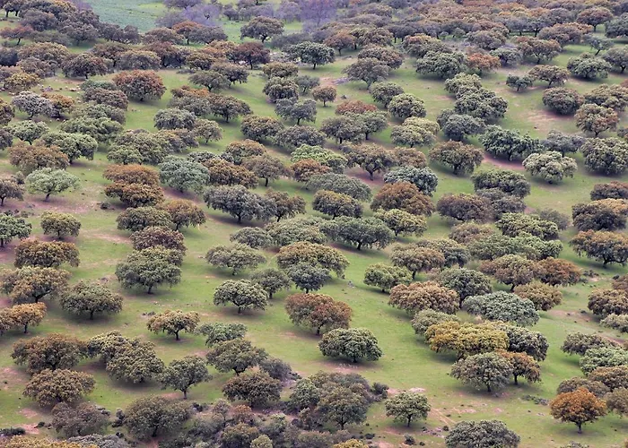 Апартаменты Cielo Abierto