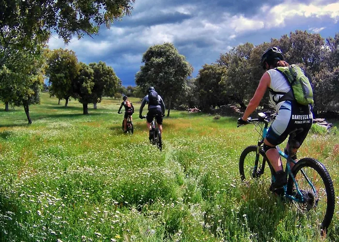 Cielo Abierto * Берсокана