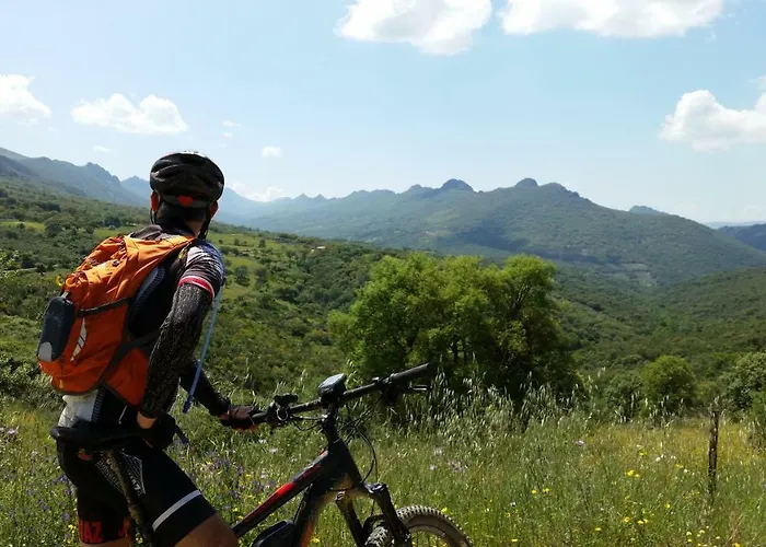 Cielo Abierto * Берсокана